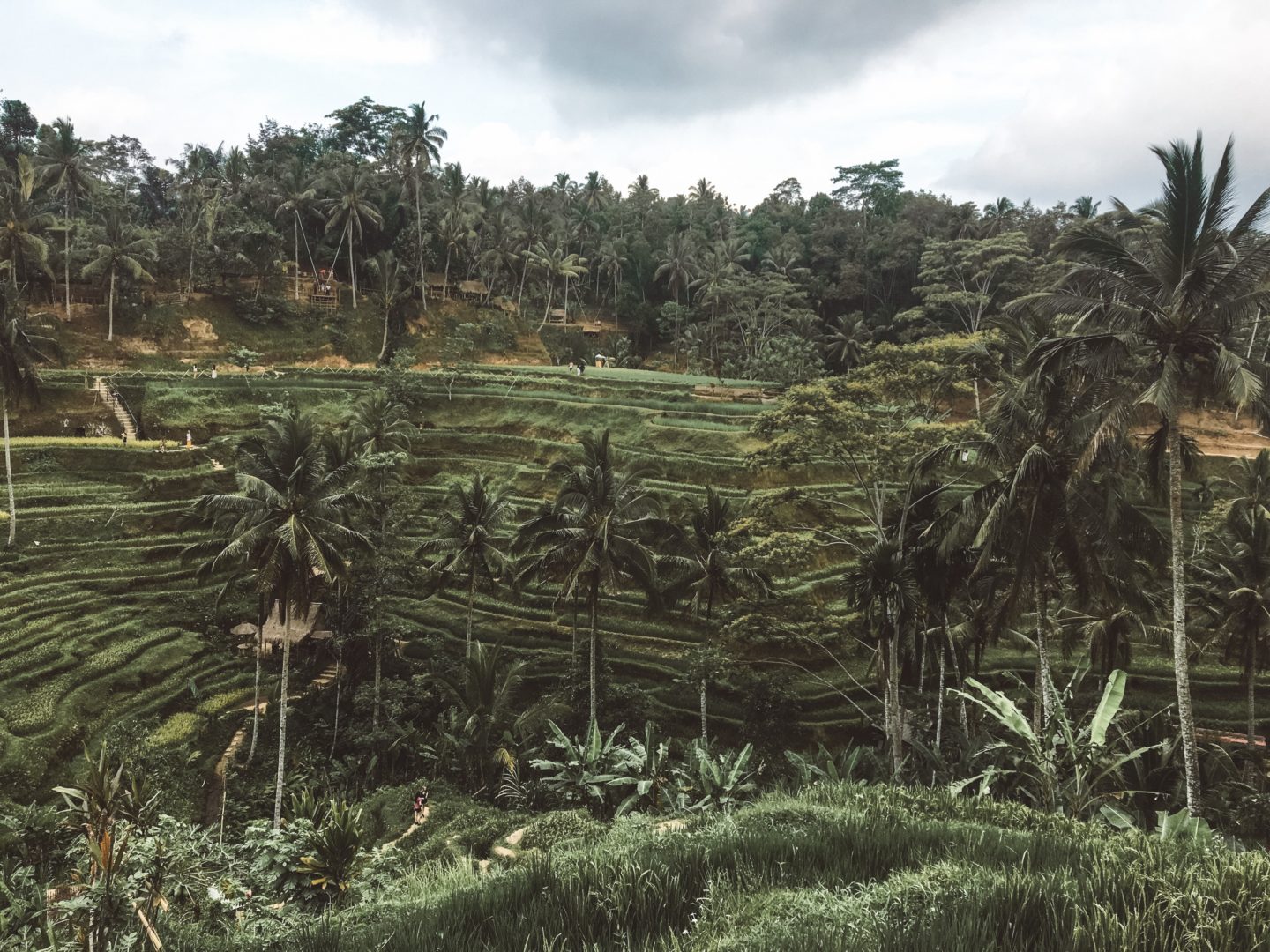 Ubud bali travel guide